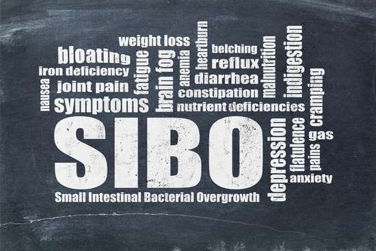Dietary Recommendations for SIBO